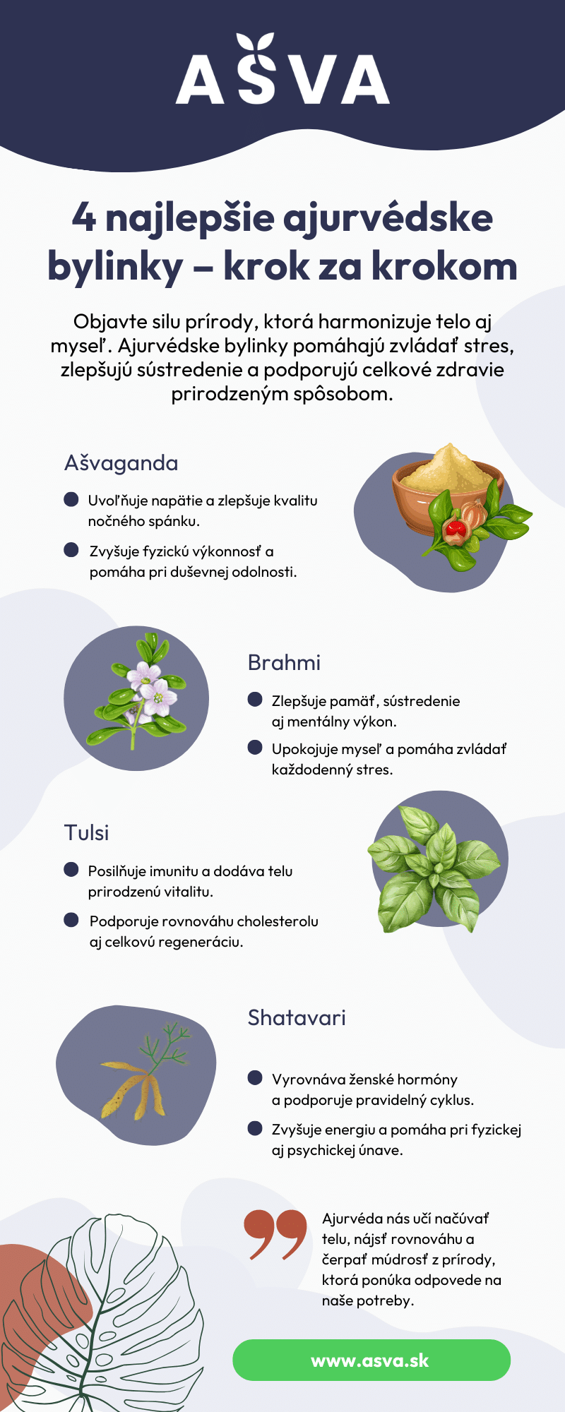 Infografika: Prehľad 4 najúčinnejších ajurvédskych byliniek